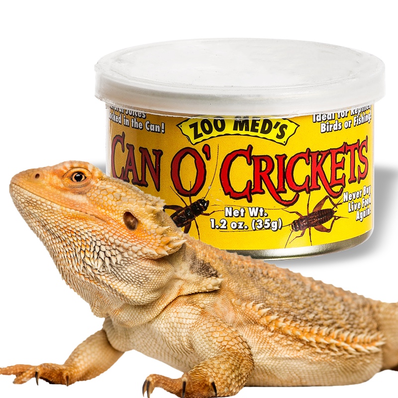 Zoomed Can O' Crickets - Medium Adult Crickets